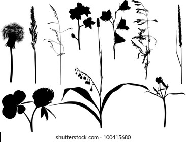 illustration with set of plant silhouettes isolated on white background