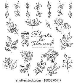 Conjunto de ilustraciones de plantas y flores.