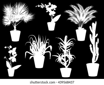 illustration with set of plants in pots silhouettes isolated on black background