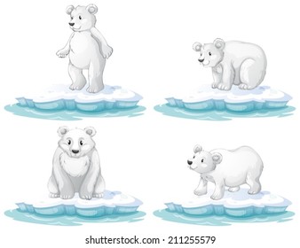 Illustration of  a set of polar bear