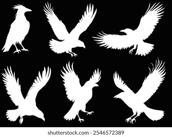 illustration with set of raven silhouettes isolated on black background