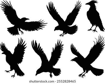 illustration with set of raven silhouettes isolated on white background