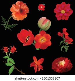 illustration with set of red flowers isolated on black background