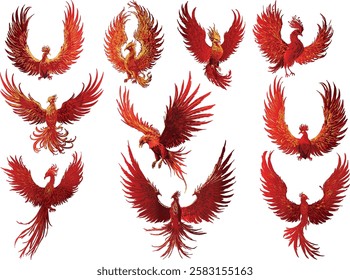 illustration with set of red phoenixes isolated on white background