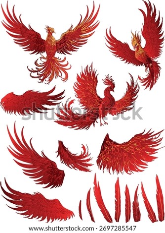 illustration with set of red phoenixes, wings and feathers isolated on white background