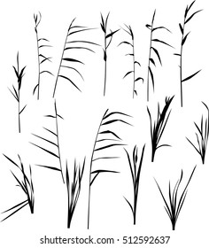 illustration with set of reed silhouettes isolated on white background