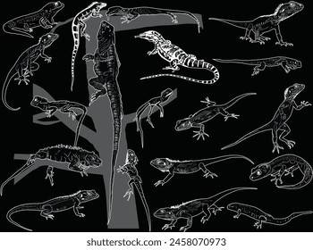 illustration with set of reptile silhouettes isolated on black background