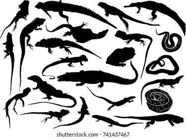 illustration with set of reptile silhouettes isolated on white background