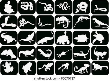illustration with set of reptiles and amphibians