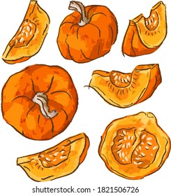 Illustration set with ripe pumpkins and pumpkin slices