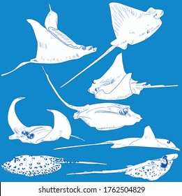 Illustration mit Skaten einzeln auf blauem Hintergrund