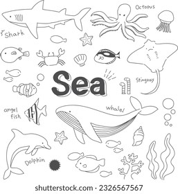 
Illustration set of sea creatures