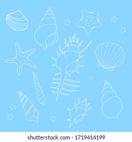 Illustration set of seashells, blue background, white line