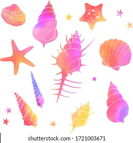 Illustration set of seashells, watercolor, warm color