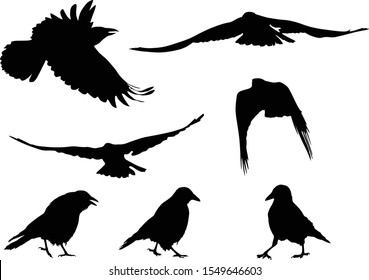 Goldfinches Silhouettes Set Birds Sitting Birds Stock Vector (Royalty ...