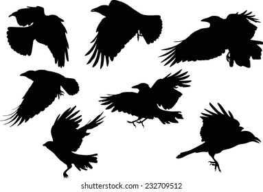 Crow Wings Images, Stock Photos & Vectors | Shutterstock