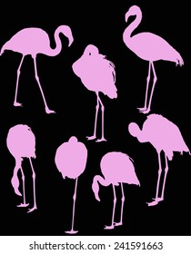 ilustración con un conjunto de siete siluetas de flamingo aisladas sobre fondo negro