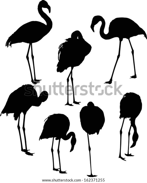 Illustration Set Seven Flamingo Silhouettes Isolated Stock Vector ...