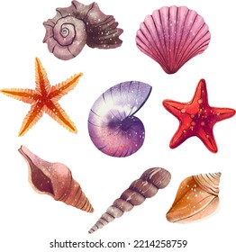 Illustration set of shells painted star sea shell clam pearl sea treasures digital