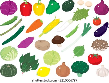 Illustration set of simple and fresh vegetables