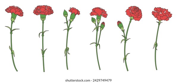 Illustration set of single carnation, variation set, icon, vector