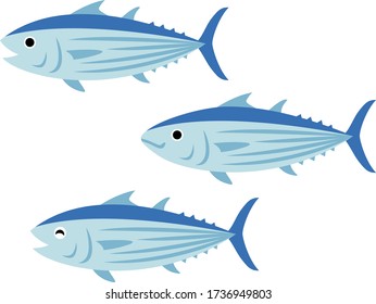 Illustration set of skipjack tuna