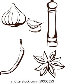 Illustration with a set of spice