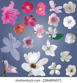 illustration with set of spring tree blossoms on light blue background