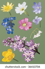 illustration with set of spring wild flowers
