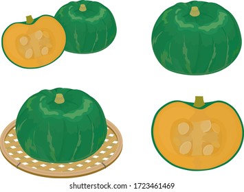 Illustration set of squash in various states.