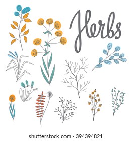 Illustration set of stylized plants.