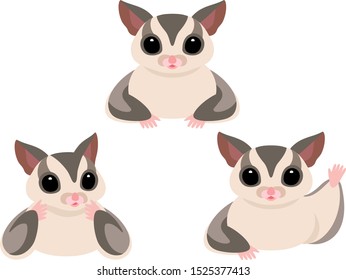 Illustration set of sugar gliders (gray)