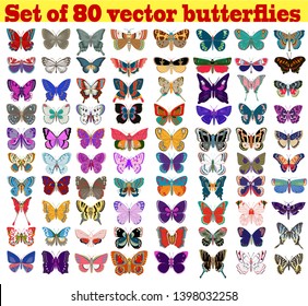 Illustration set of summer butterflies on a white background
