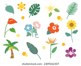 An illustration set of summer flowers, plants, and leaves such as sunflowers and hibiscus.