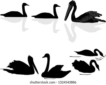 Illustration mit Set von frischen Vögeln einzeln auf weißem Hintergrund