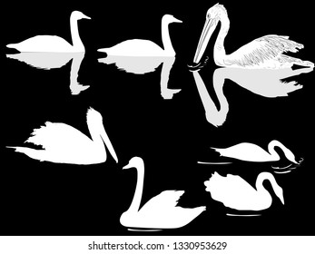 Illustration mit Set von frischen Vögeln einzeln auf schwarzem Hintergrund