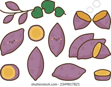 Illustration of a set of sweet potato on a white background.