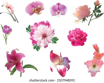 illustration with set of ten pink flowers isolated on white background