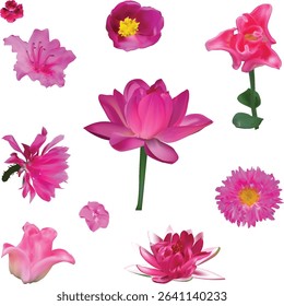 illustration with set of ten pink flowers isolated on white background