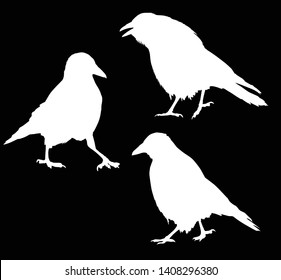 ilustración con un conjunto de tres siluetas de cuerdas aisladas en fondo negro