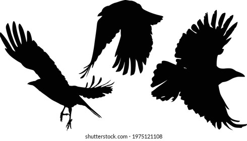 1,813 3 Crows Images, Stock Photos & Vectors | Shutterstock