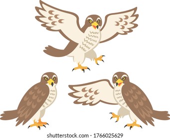 Illustration set of three hawk characters