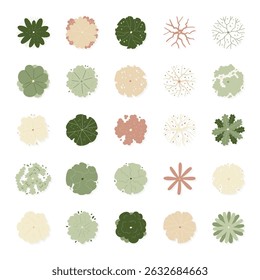 illustration set top view of tree isolated on white background.