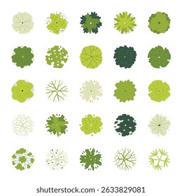 illustration set top view of tree isolated on white background.