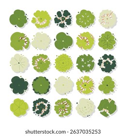 illustration set top view of tree isolated on white background.