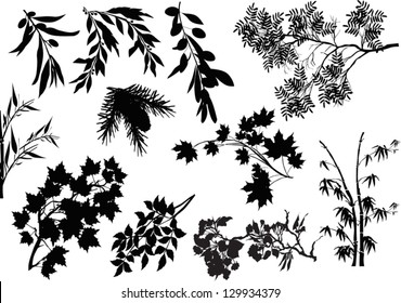 illustration with set of tree branches on white background