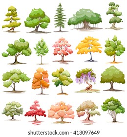 illustration of set of tree on isolated white background