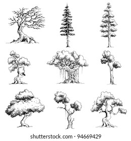 illustration of set of tree on isolated white background