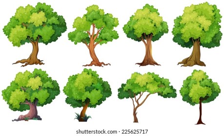 Illustration of a set of trees