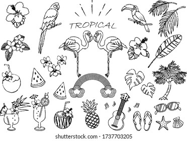 Illustration set of tropical flowers, birds and plants
